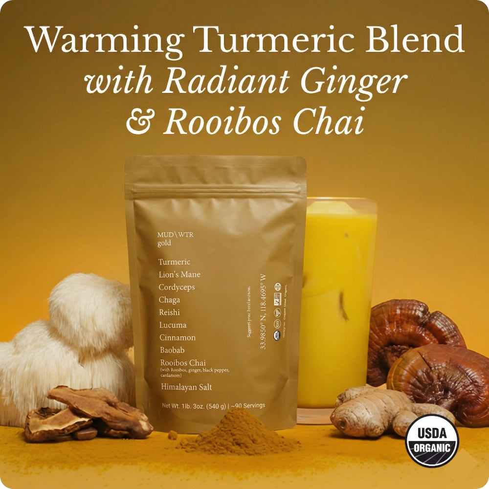 Turmeric (90 serving)